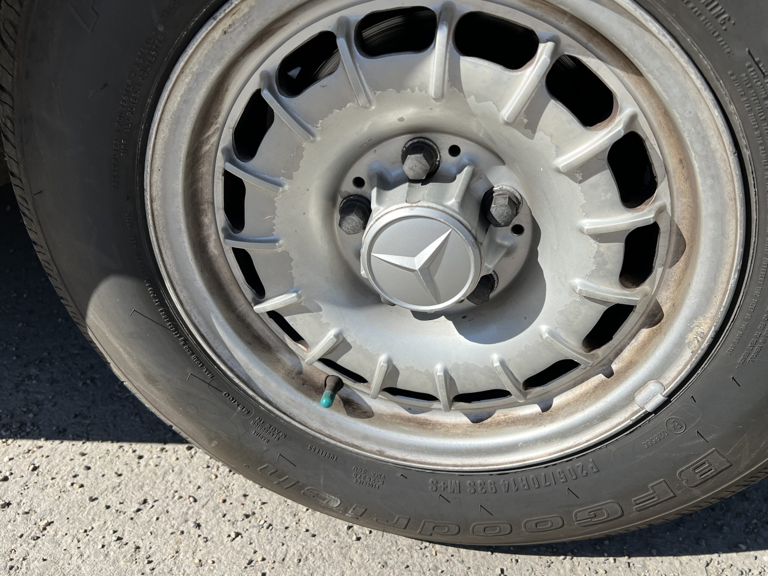 Photo 2024-03-18, 12 31 56 PM